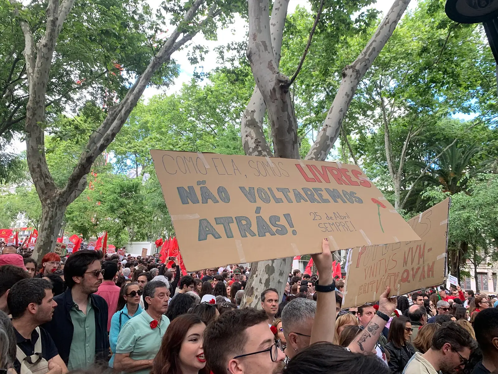 Um grande cartaz de cartão, escrito à mão com um cravo desenhado, levantado acima de uma multidão de cravos ao peito, debaixo de plátanos.